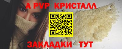 стаф Можга